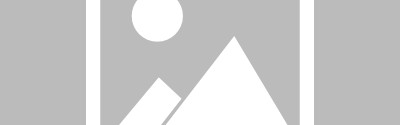 瓦塞尔：巴恩斯的职业精神非常棒 他给球队带来了巨大帮助