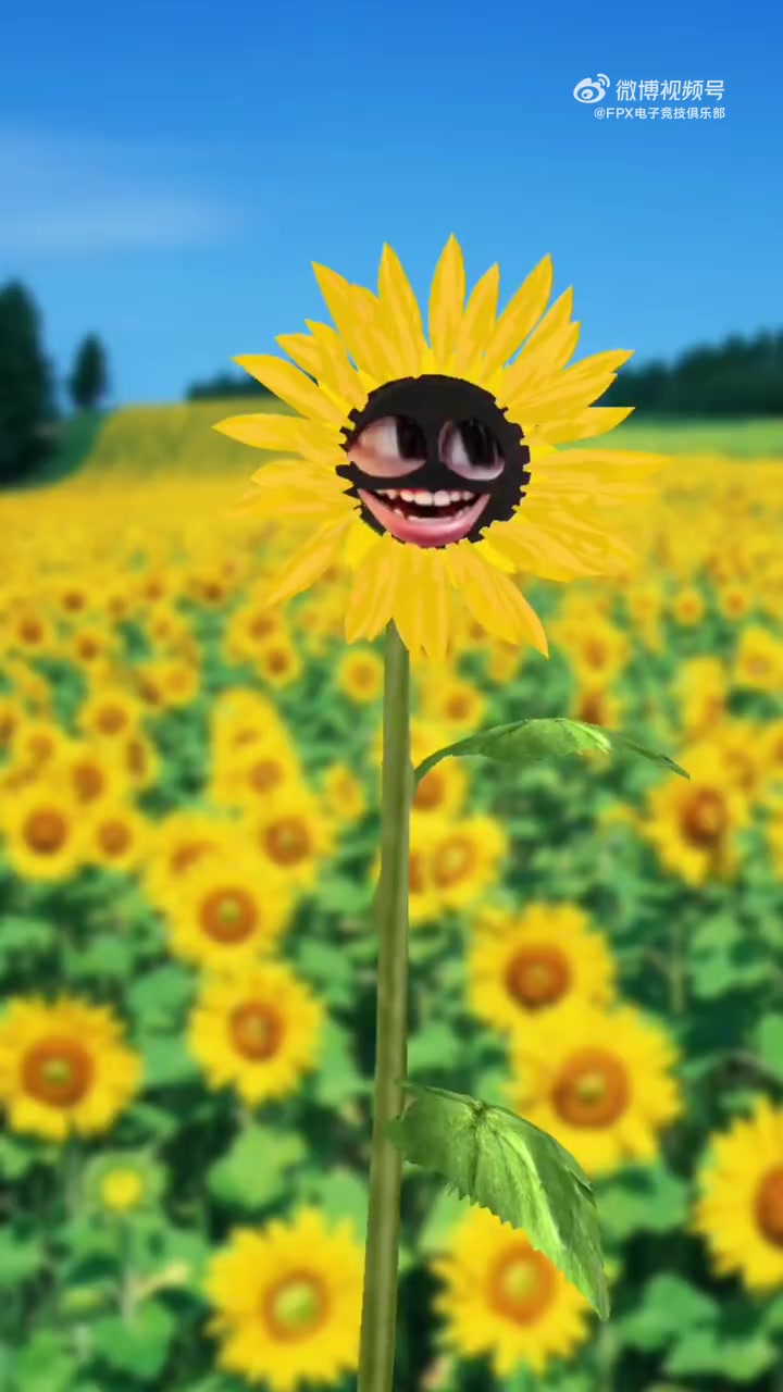 什么妖魔鬼怪？FPX发布整活视频：我系凤宝，我同意LPL22号开赛！